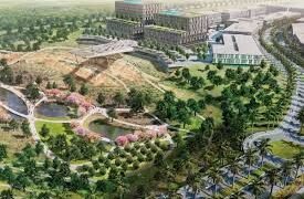 بالم هيلز للتعمير تسجل مبيعات 182 مليار جنيه وتستحوذ على أراضٍ استراتيجية