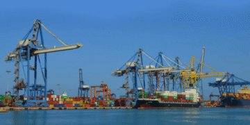 موانئ أبوظبي تستحوذ على حصة 19.3% في شركة “الإسكندرية لتداول الحاويات”